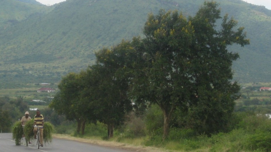 Image by Alexander Johmann from Vienna, Austria (Straße = Leben und Tod) [CC BY-SA 2.0 (https://creativecommons.org/licenses/by-sa/2.0)], via Wikimedia Commons